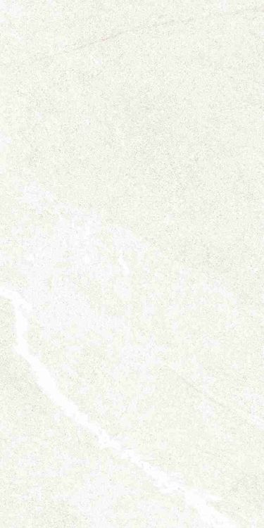 Dhara White Matte 12 x 24